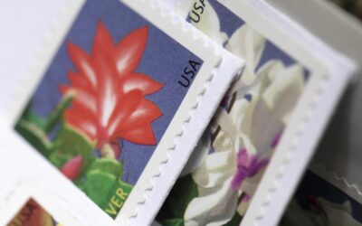Postage Rates Rise Again